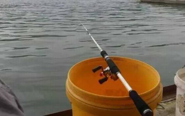 筏钓轮主线用几号线?