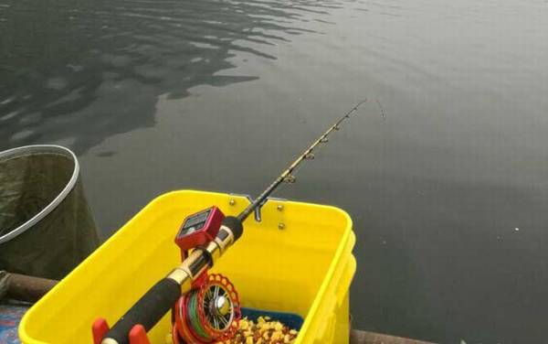 筏钓轮主线用几号线?