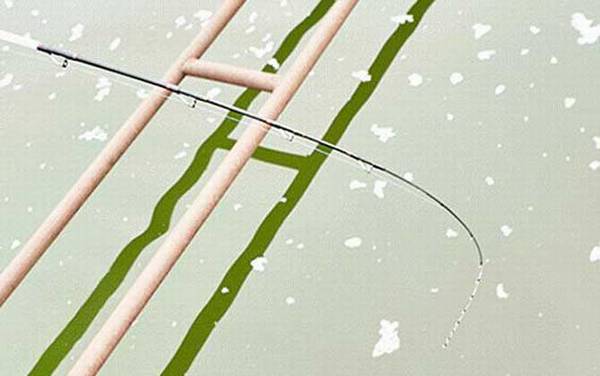 筏钓轮主线用几号线?