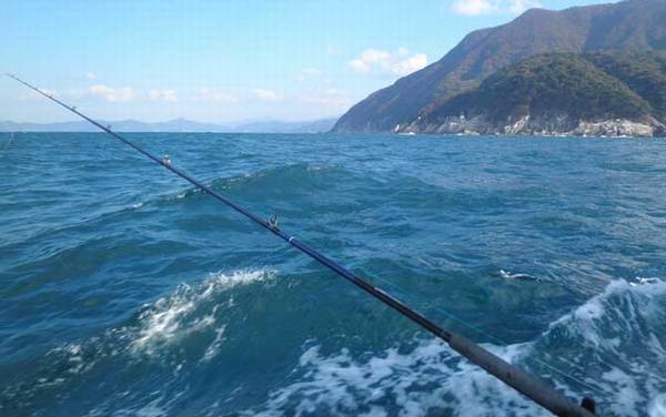 海钓钓组搭配及注意事项