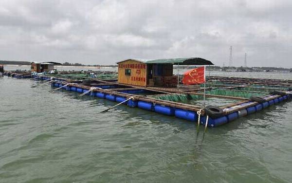 海钓装备有哪些?