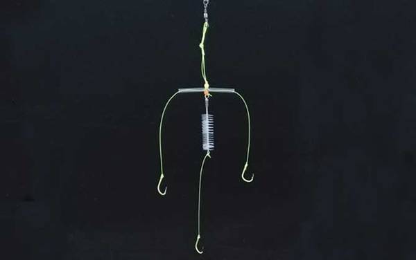 扁担钩钓什么鱼?