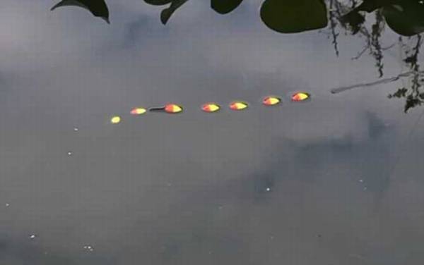 野钓鲫鱼用什么漂型的漂?