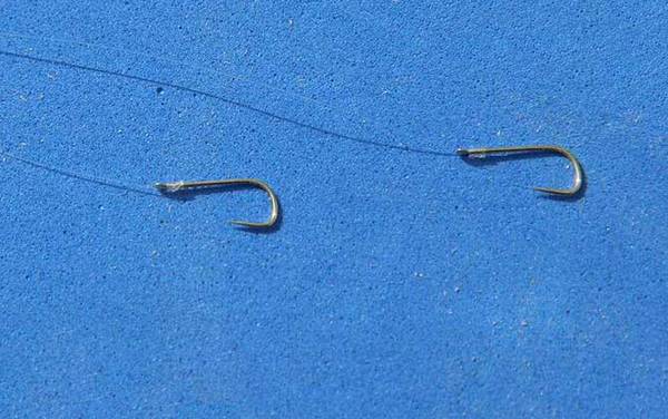 台钓鲫鱼子线多长合适?