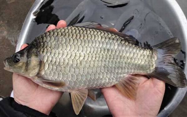 ����������������估ע������