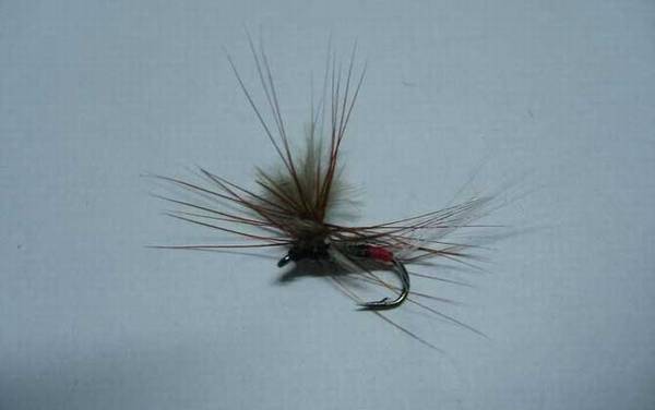 钓小白条鱼专用鱼钩是什么?