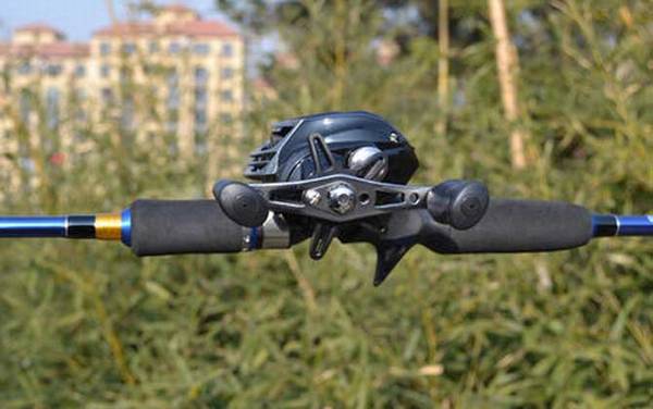 路亚竿是什么意思?