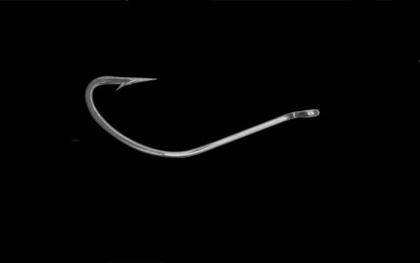 白狐3号钩能钓多大的鲫鱼?