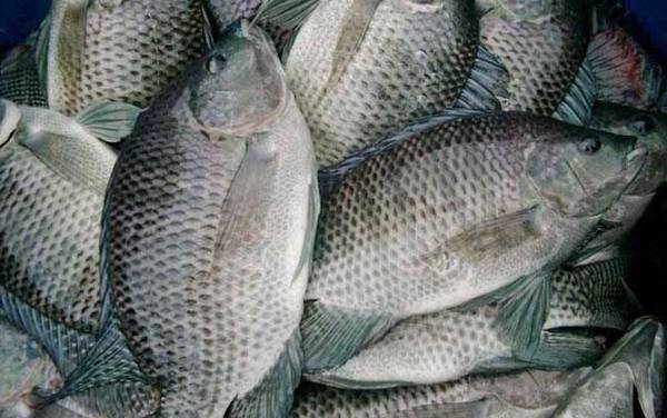 �����乳�ʺϵ�ʲô�㣿