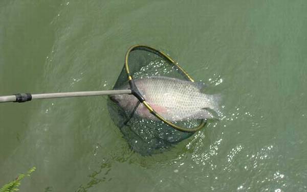 5�Ž��乳�ʺϵ�ʲô�㣿