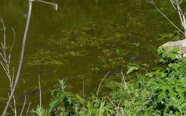 5�Ž��乳�ʺϵ�ʲô�㣿