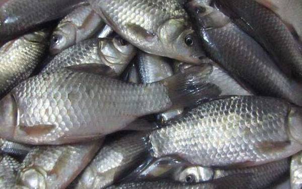 6���乳�ʺϵ�ʲô�㣿