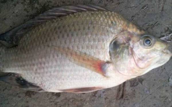 6���乳�ʺϵ�ʲô�㣿