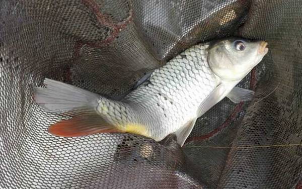 6���乳�ʺϵ�ʲô�㣿