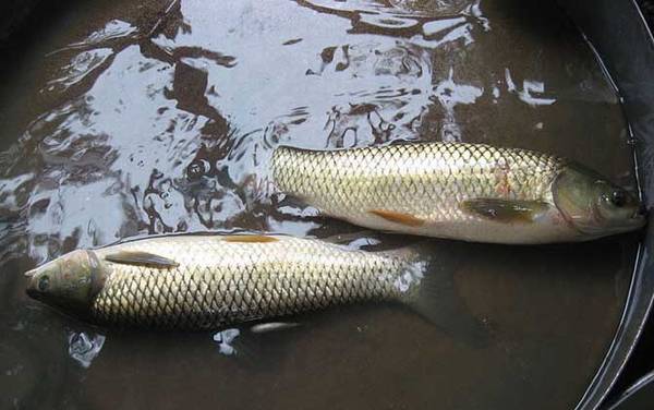 6���乳�ʺϵ�ʲô�㣿