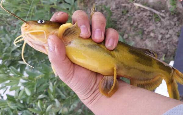 �����㹳�ʺϵ�ʲô�㣿