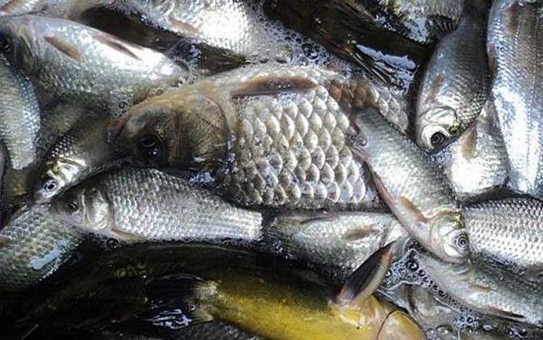 ��Ϧ�㹳�ʺϵ�ʲô�㣿