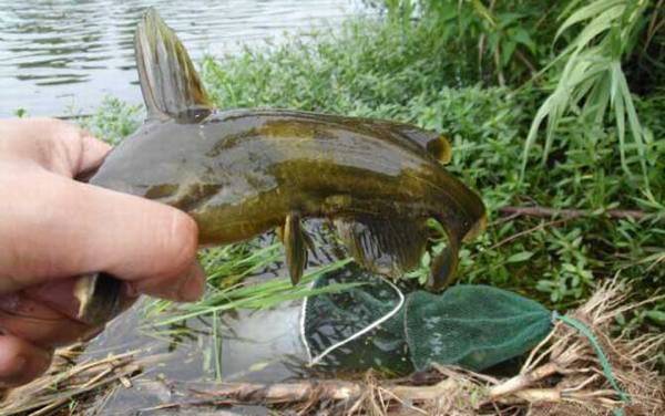 ǧ���㹳�ʺϵ�ʲô�㣿