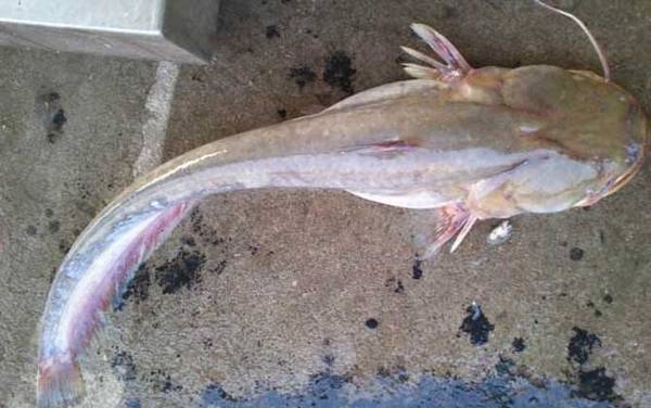 ǧ���㹳�ʺϵ�ʲô�㣿