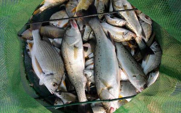 ǧ���㹳�ʺϵ�ʲô�㣿