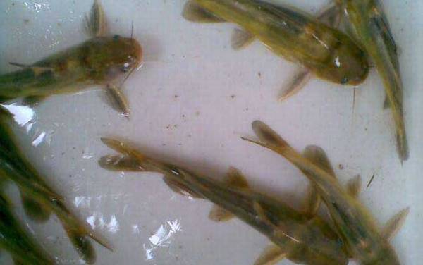 �����㹳�ʺϵ�ʲô�㣿