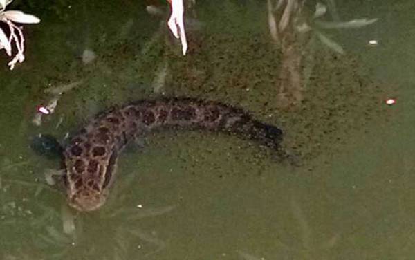 �����㹳�ʺϵ�ʲô�㣿