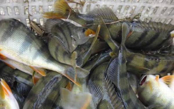 �����㹳�ʺϵ�ʲô�㣿