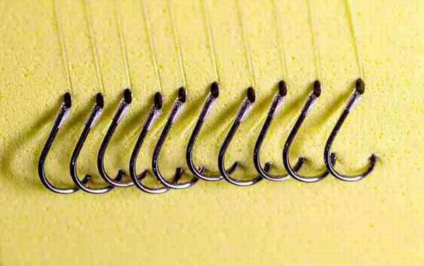 伊豆鱼钩几号大小通杀?