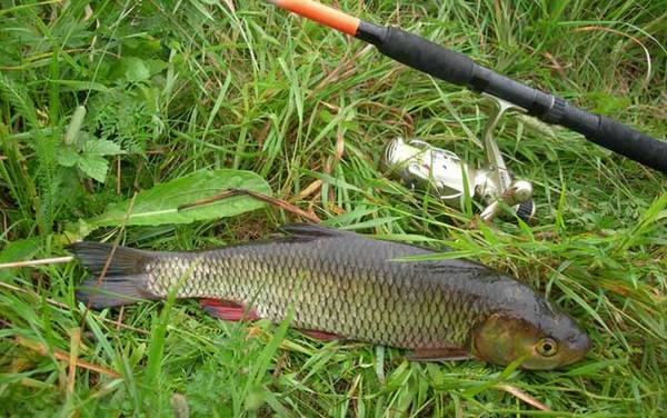 3�������ṳ�ʺϵ�ʲô�㣿