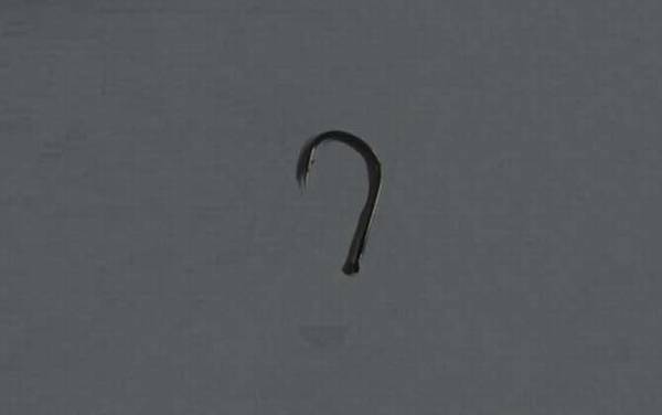 6号伊势尼钩能钓多大鲤鱼?