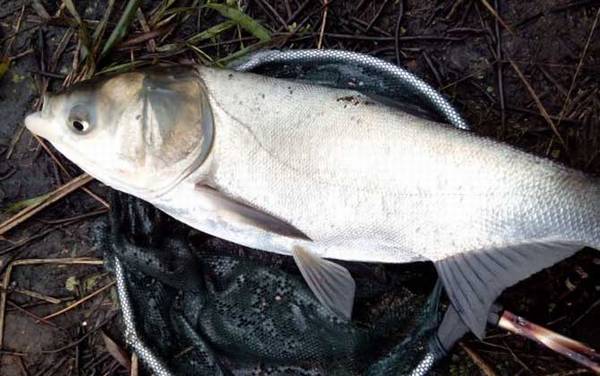 �¹ض��㹳�ʺϵ�ʲô�㣿