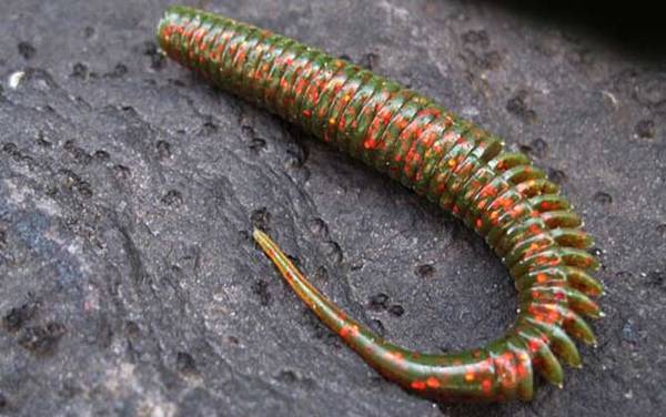 ·�Ǽٶ����༰ʹ�÷���