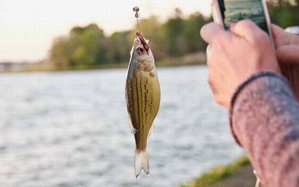 ·�ǵ�����ʲô�ߺã�