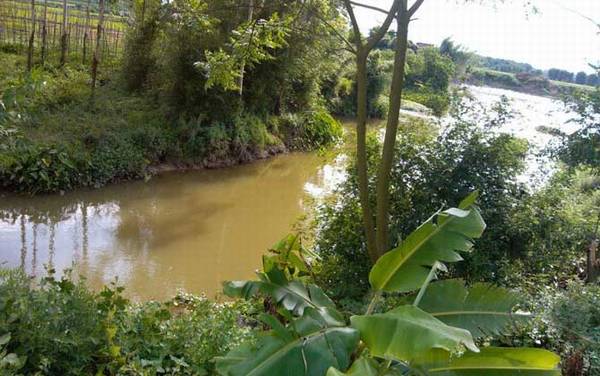 Ϫ������ʲô���ͣ�