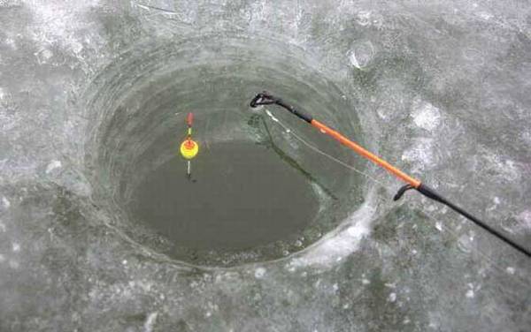 ������ʲô��Ư��