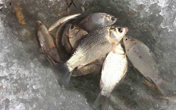 ������ʲô���ͣ�