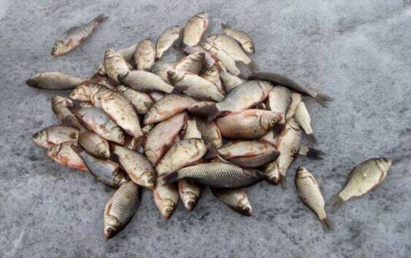 ������ʲô���ͣ�