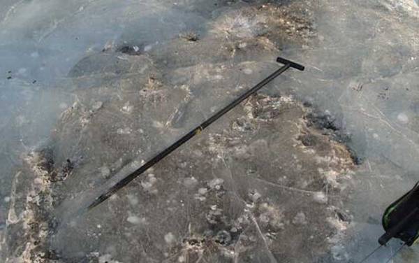 ����Ҫ��Щװ����