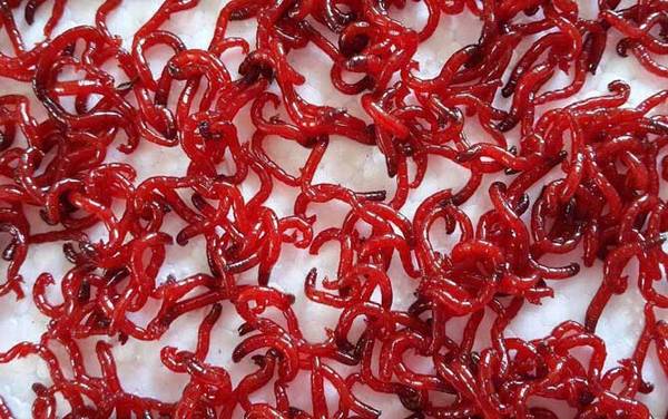 ����Ҫ��Щװ����