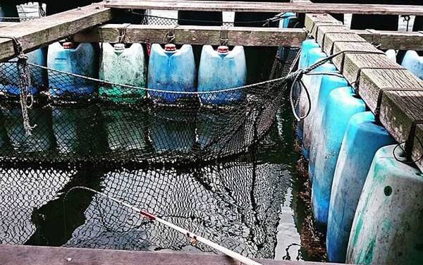 ������ʲô���ߣ�