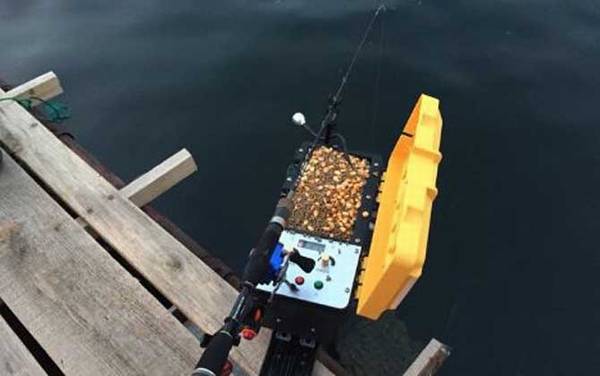 ������ʲô���飿