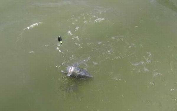 ������ʲô���飿