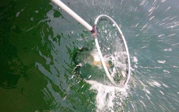 ������ʲô���飿