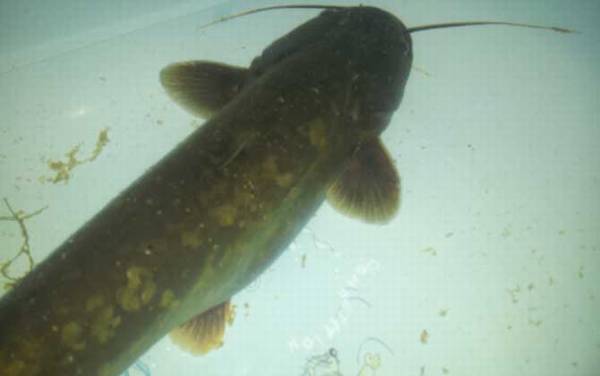 ��������ʲô���飿