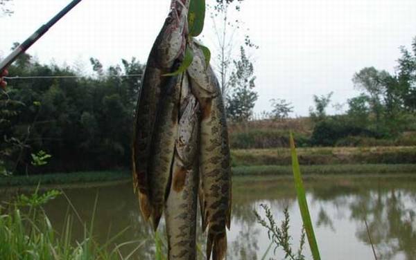 ��������ʲô���飿