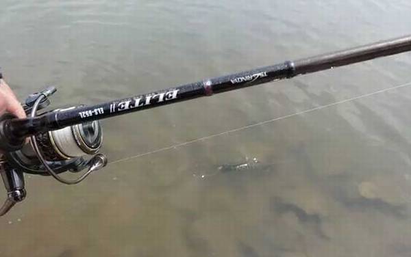 ��������ʲô���飿