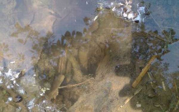 ������������ô������