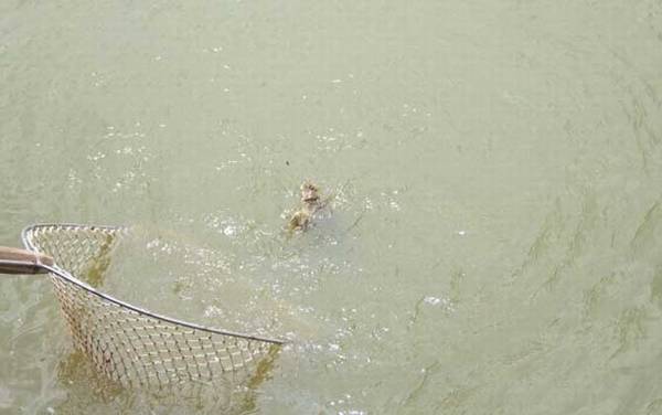 ��������ʲô����