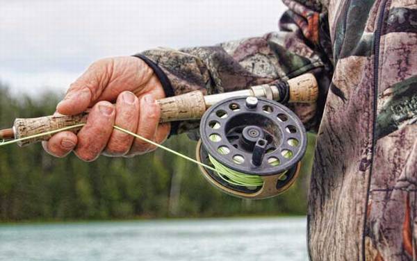 ��ʯ������ʲô���ߣ�