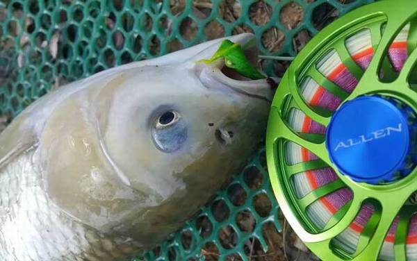 �������ü��Ź���